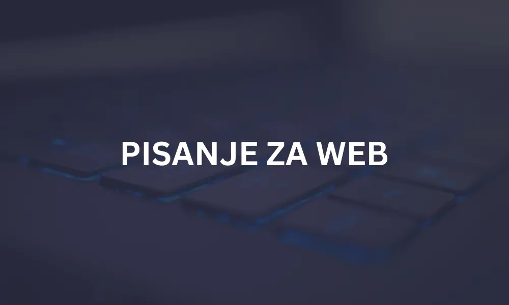 PISANJE ZA WEB