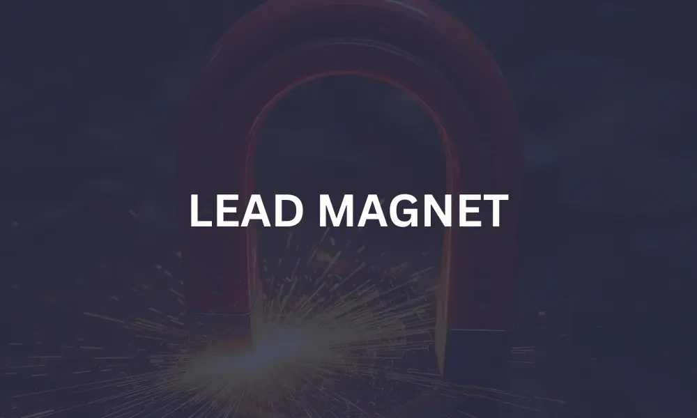 LEAD MAGNET