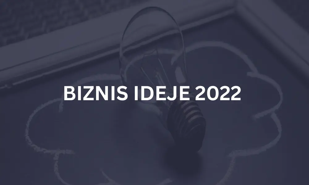 BIZNIS IDEJE
