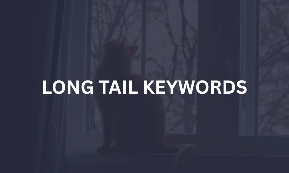 LONG TAIL KEYWORDS
