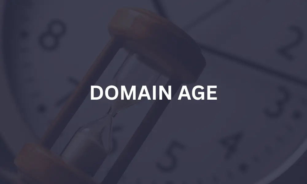 DOMAIN AGE