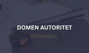 DOMEN AUTORITET