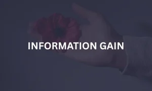 Šta je Information Gain