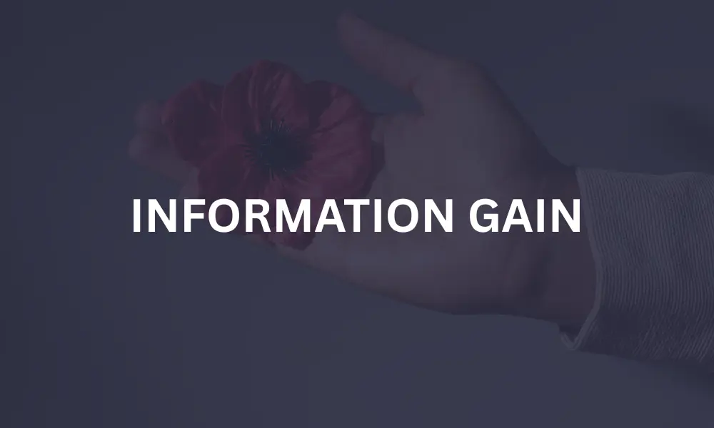 Šta je Information Gain